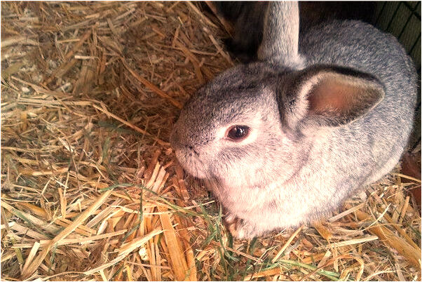 夢到和已死的父親站一起有什麼說法_周公解夢官網