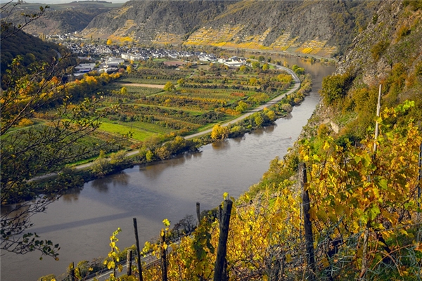 夢到了兩河交叉意味什麼_周公解夢