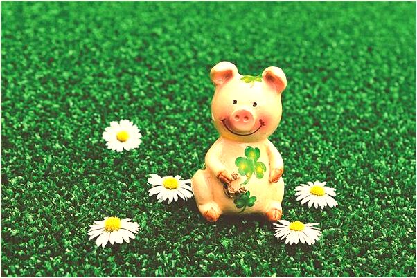 夢到了老鼠從雞屁股里把雞分解了是什麼預兆_周公解夢官網