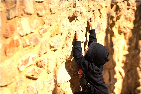 夢到了魚游水中有什麼預兆_周公解夢官網
