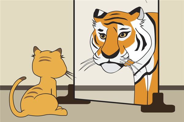 屬虎2020年運勢及運程_十二生肖