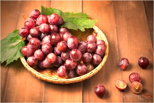 夢見自己殺毛驢是什麼意思？_周公解夢官網