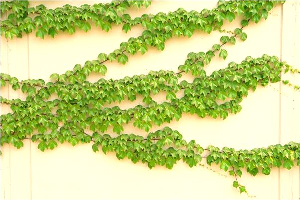 夢見幫助了去世的人是好事還是壞事_周公解夢官網