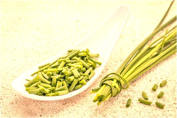 夢到在簽到薄上籤到會有什麼預兆_周公解夢官網