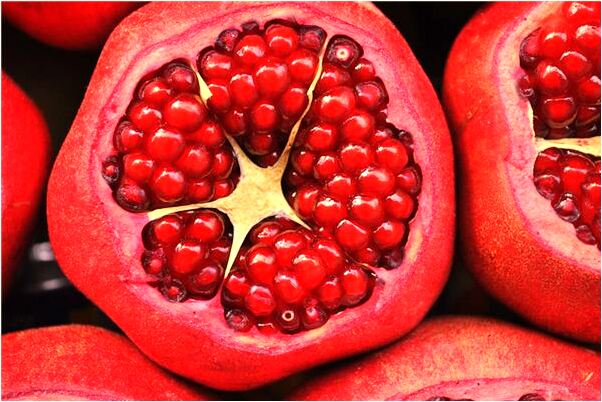 夢到了斷尾巴紅蛇有何寓意_周公解夢官網