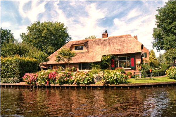 夢見禿頭頂代表著什麼_周公解夢官網