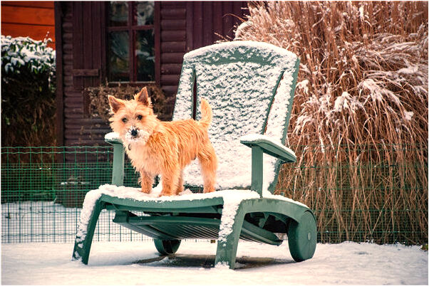 夢到流掉別人的孩子意味著什麼_周公解夢官網