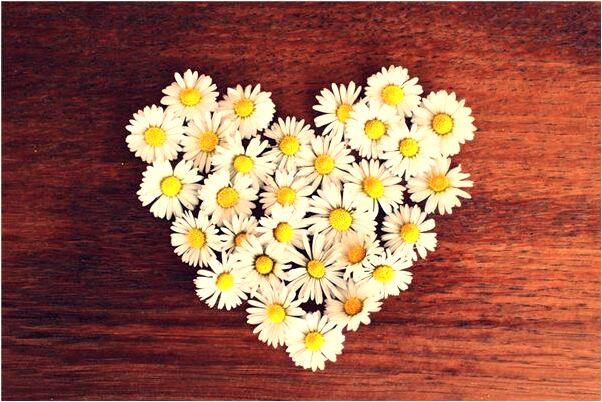 夢到飼養小猴子會是什麼預兆_周公解夢官網