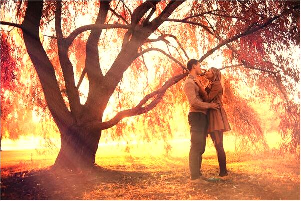 夢到了被貓嚇哭有什麼說法_周公解夢官網