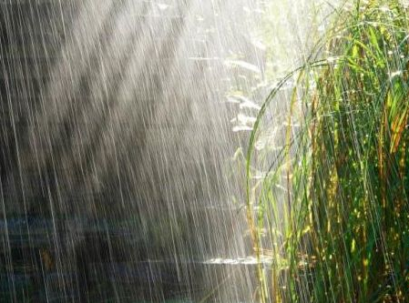 夢見下大雨屋裡漏雨