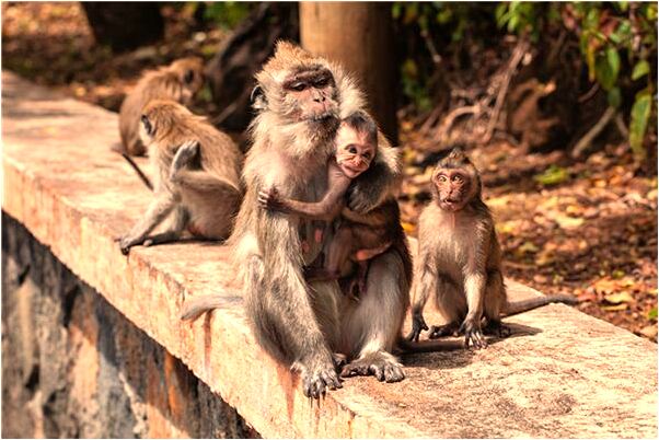 夢見別人給介紹男朋友我不同意會有什麼預兆_周公解夢官網
