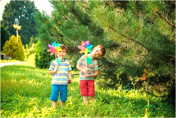 夢見偷玉米沒偷成意味什麼_周公解夢官網