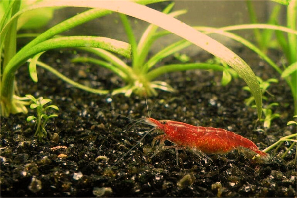 夢到有人把屎弄到我的衣服上了會是什麼預兆_周公解夢官網