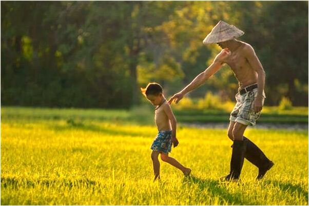 夢見豬生孩子剖腹是什麼啟示_周公解夢官網