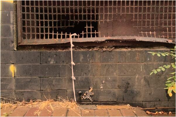 夢見是雙性人做愛預示什麼_周公解夢官網