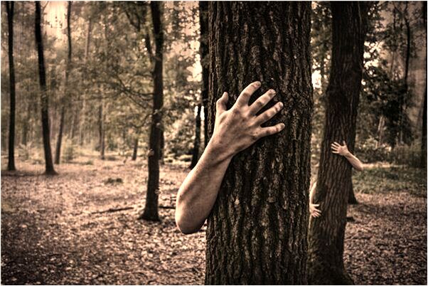 夢見電線冒火花預示什麼_周公解夢官網