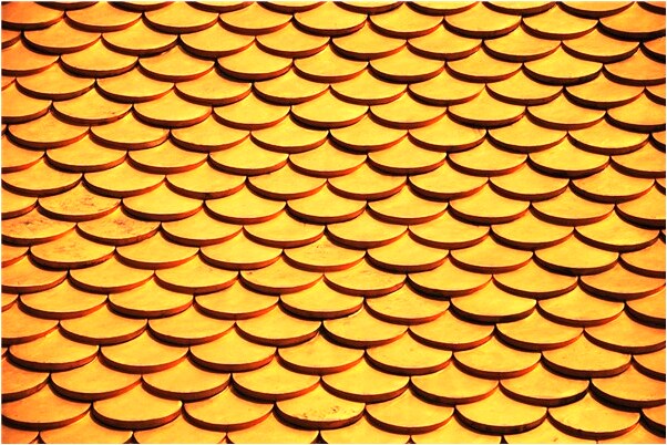 夢到了女人咬男人什麼預兆_周公解夢官網