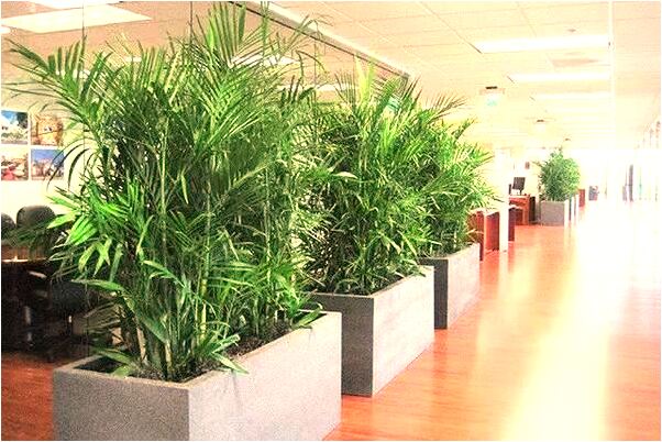 夢見男朋友打自己是什麼預兆？_周公解夢官網