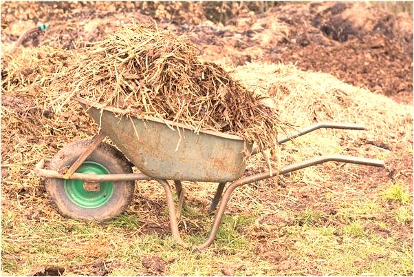夢到吻前男友是什麼預兆_周公解夢官網