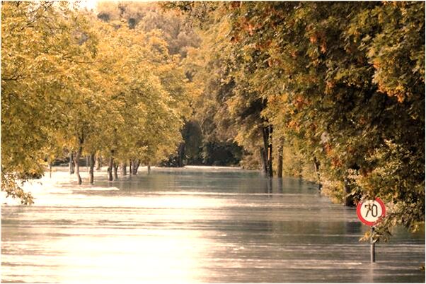 夢到韻達物流什麼預兆_周公解夢官網