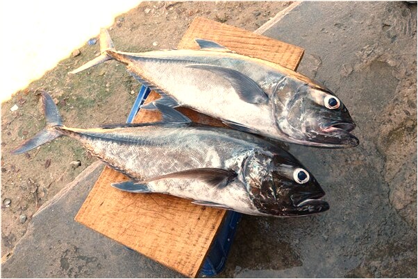 夢見寺廟有人摔死怎么說_周公解夢官網