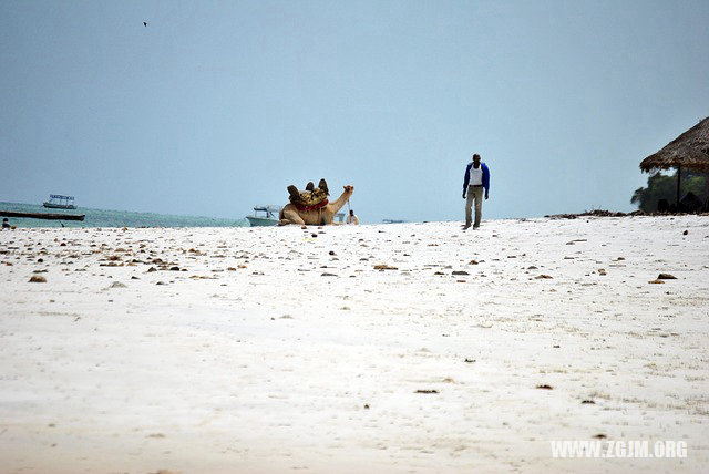 夢見抓到大魚意味_周公解夢夢到抓到大魚意味是什麼意思_做夢夢見抓到大魚意味好不好_周公解夢官網