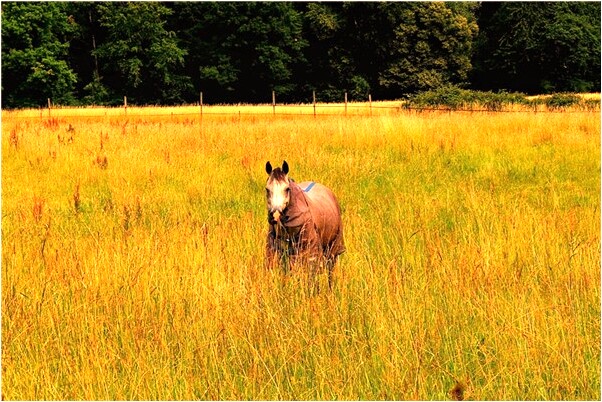 夢見我老公給別的女人化妝怎么回事_周公解夢官網
