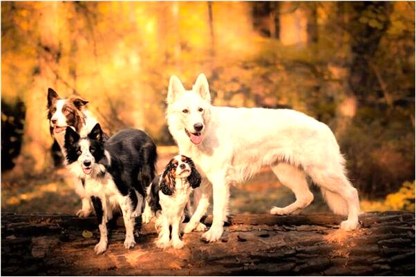 夢到跟認識的女人挖耳屎預示什麼_周公解夢官網