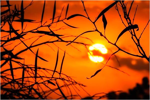 夢到了前男友坐在家裡沙發上是什麼徵兆_周公解夢官網