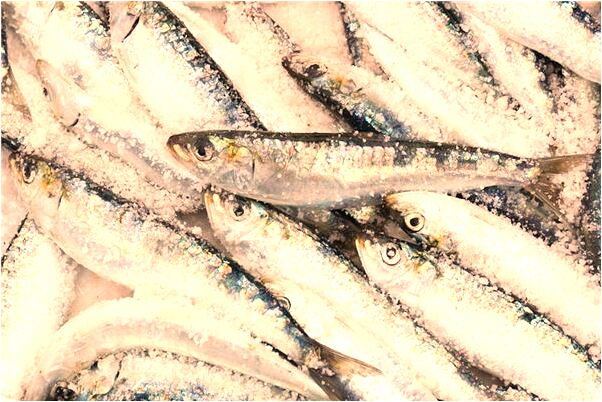 夢見自己發現金代大量文物預兆了什麼嗎_周公解夢官網