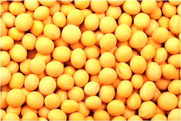 夢到自己坐船過河是好是壞_周公解夢官網