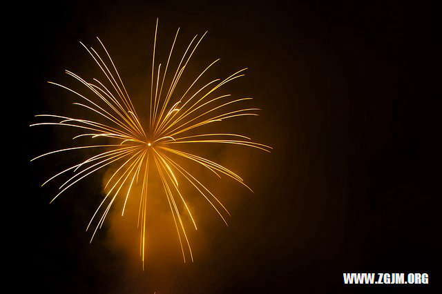 夢見豬生了好多小豬_周公解夢夢到豬生了好多小豬是什麼意思_做夢夢見豬生了好多小豬好不好_周公解夢官網