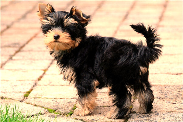 夢到和一個人對視有什麼預兆_周公解夢官網