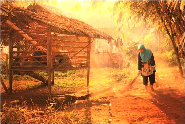 夢到別人開車掉懸崖代表什麼_周公解夢官網