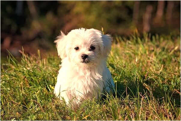 夢到自己出軌被老公發現是什麼徵兆_周公解夢官網