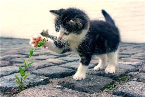 夢到親人生病住院有什麼意義嗎_周公解夢官網