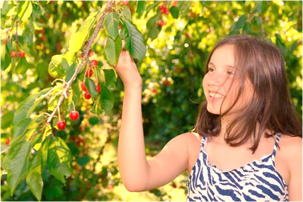 夢到看到一堆錢可是沒有拿走會是什麼預兆_周公解夢官網