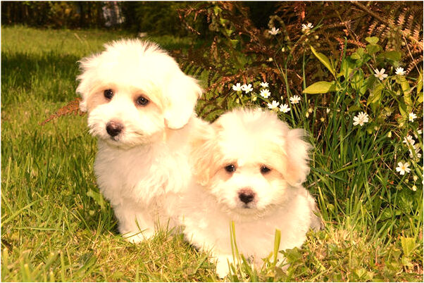 夢到醫生和死了的男友什麼預兆_周公解夢官網