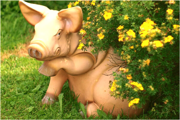 夢到了從前的家啥意思_周公解夢官網