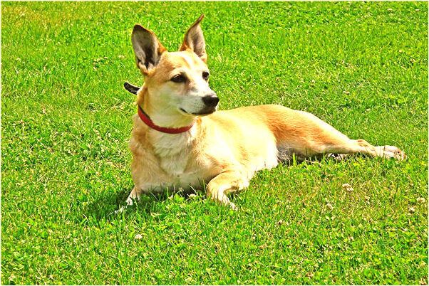 夢見過隧道有什麼說法_周公解夢官網