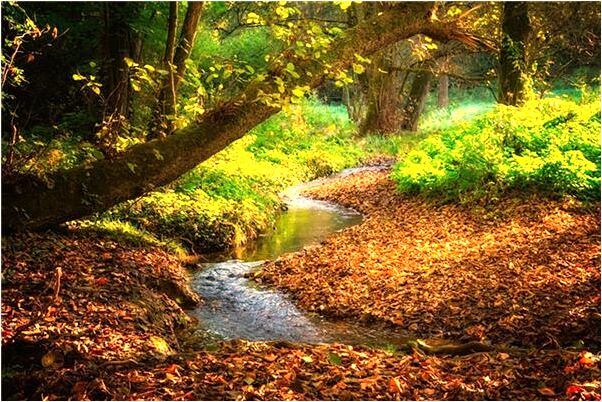 夢到光著上身的女人有什麼寓意嗎_周公解夢官網
