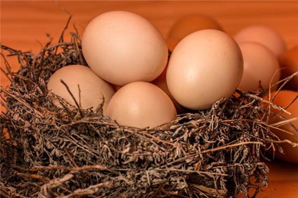 夢見雞蛋一定生女兒嗎_周公解夢