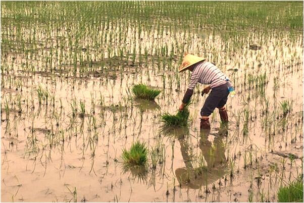夢見紅太陽落西山有什麼說法_周公解夢官網