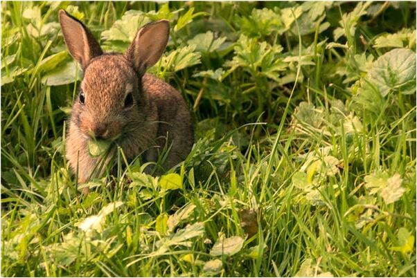 夢到了被傳染了一身疙瘩好不好_周公解夢官網
