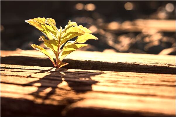 夢到看見死人在走路有什麼意思_周公解夢官網