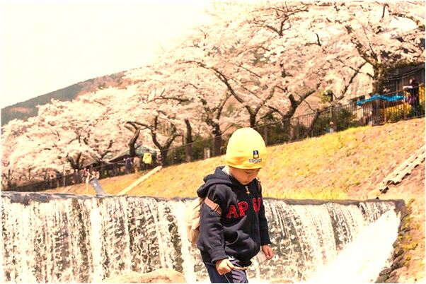 夢到了有人拿刀砍死了兩隻青蛙是好事還是壞事_周公解夢官網