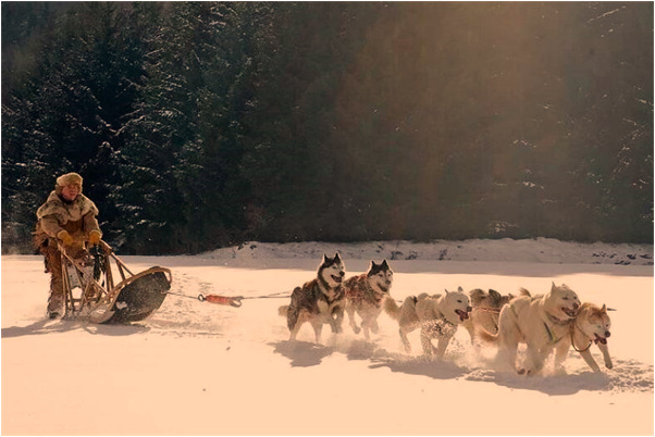 夢到了和媳婦偷手機預示了什麼_周公解夢官網