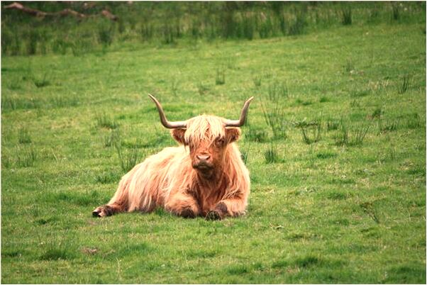 夢到老公叫別的女人寶貝是吉兆嗎?_周公解夢官網