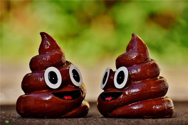 夢見大便是什麼意思啊_周公解夢