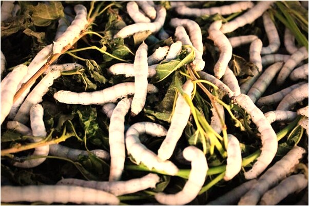 夢到和前男友和好相愛是凶兆還是吉兆_周公解夢官網